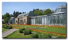 Wilhelma Stuttgart: Botanischer Garten: Maurisches Landhaus Tulpenbeet